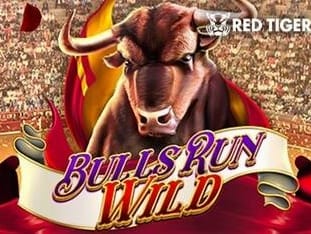 Bulls Run Wild